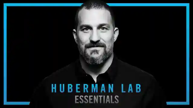 mastering-endurance-atp-neurons-and-muscular-strength
