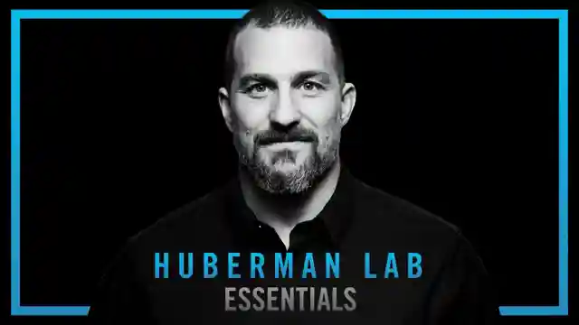 optimizing-daily-routines-hubermans-science-based-tips