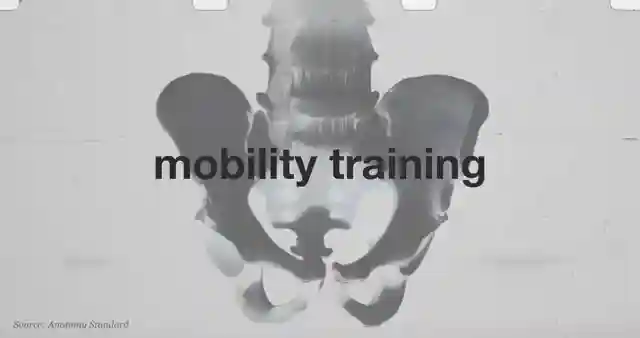 enhancing-mobility-pain-relief-strength-training-guide