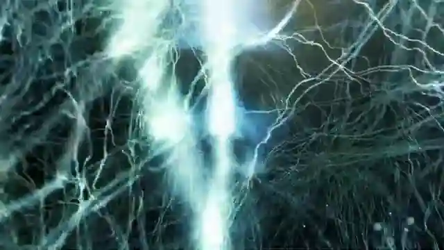 the-conscious-universe-rethinking-reality-and-death