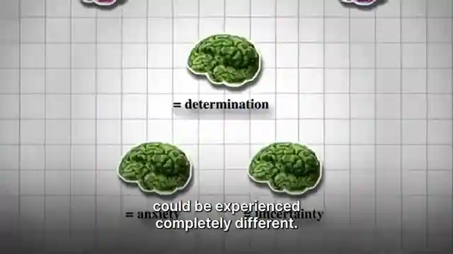 unveiling-the-power-of-predictive-brain-dr-lisa-feldman-barretts-neuroscience-insights