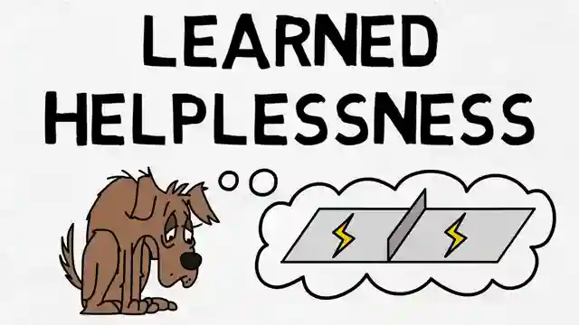 master-your-mindset-overcoming-learned-helplessness-for-success