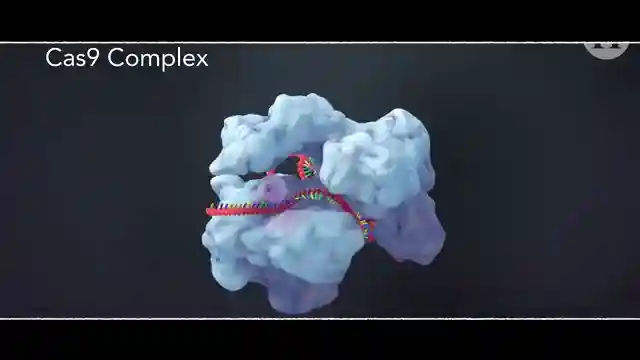 future-of-regenerative-medicine-genome-sequencing-early-disease-detection